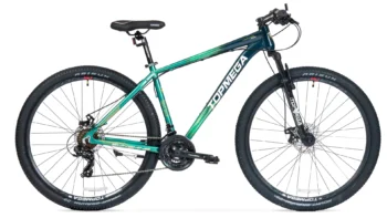 Bicicleta montaña Topmega Sunshine - Imagen 44