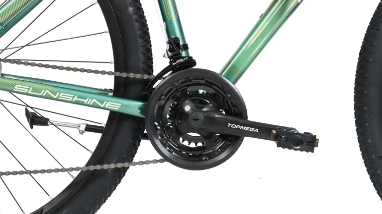 Bicicleta montaña Topmega Sunshine - Image 38