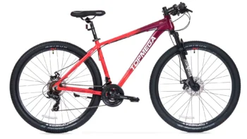 Bicicleta montaña Topmega Sunshine