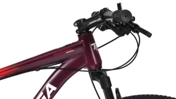 Bicicleta montaña Topmega Sunshine - Image 25