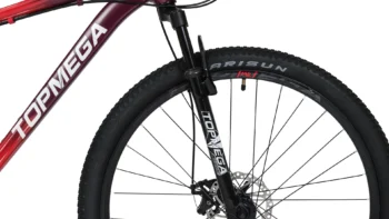 Bicicleta montaña Topmega Sunshine - Image 23