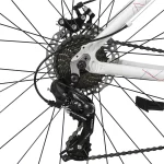 TOPMEGA Sunshine R29 - Image 14