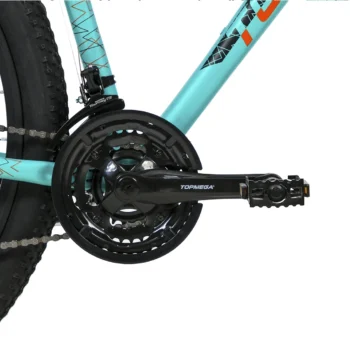 Bicicleta montaña Topmega Sunshine - Image 4