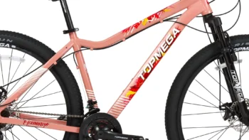 Bicicleta montaña Topmega Flamingo - Image 13