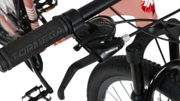 Bicicleta montaña Topmega Flamingo - Image 15