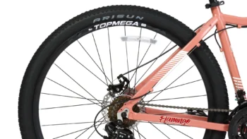 Bicicleta montaña Topmega Flamingo - Image 10