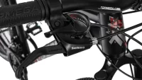 TOPMEGA REGAL R29 - Image 16