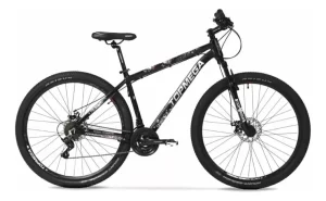 TOPMEGA REGAL R29 - Image 4