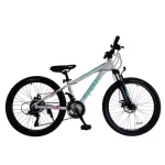 BICICLETA SBK R24 T-REX ALUM 21VEL /FRENO DISCO - Image 5