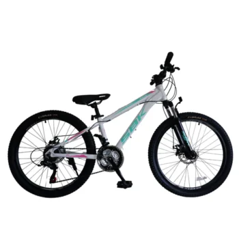 Bicicleta montaña SBK r24 T-rex - Image 5