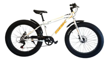 FAT BIKES R26