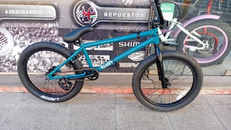 BICI BMX KUSH 2  R20 - Image 10