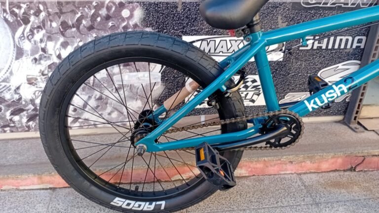 BICI BMX KUSH 2  R20 - Image 9