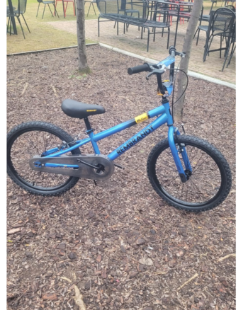 BICICLETA NIÑO REMBRAND MATHEO RODADO 20
