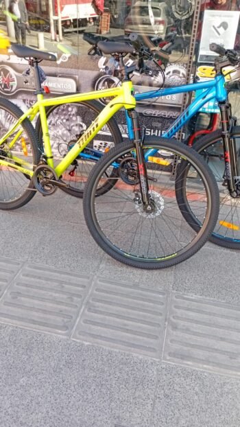 BICICLETA MTB MINT R29 - Imagen 9