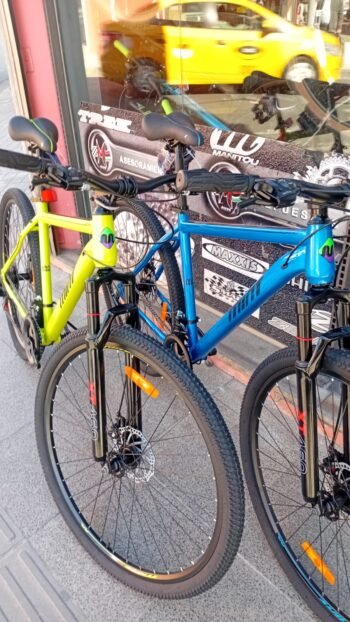 BICICLETA MTB MINT R29 - Imagen 2