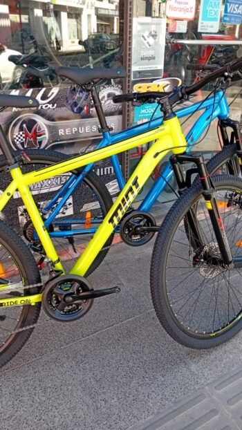 BICICLETA MTB MINT R29 - Imagen 8