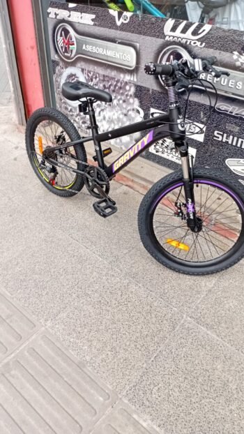 BICICLETA NIÑO GRAVITY R20 - Imagen 2