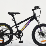 BICICLETA NIÑO GRAVITY R20