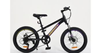 BICICLETA NIÑO GRAVITY R20